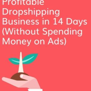 How I Built a Profitable Dropshipping Business in 14 Days