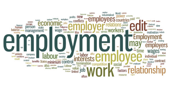 employment letter for visa services