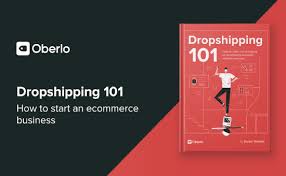 Establishing a Dropshipping E-Commerce Store